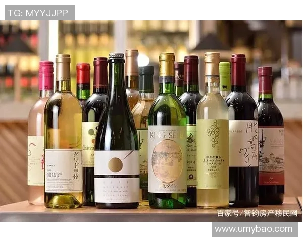 日本足球明星数量及其在国际舞台上的影响力分析