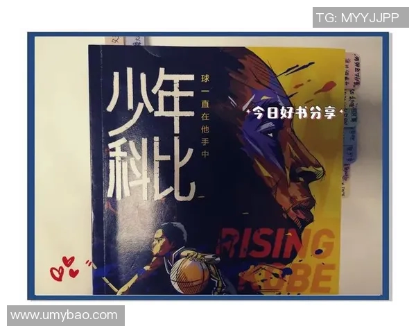 篮球明星的传奇故事与赛场背后的奋斗历程揭秘