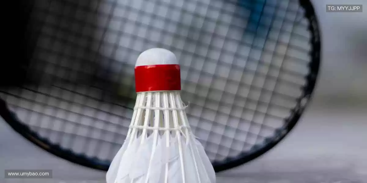 🎁 限量版周边,用细节诠释你对体育的极致热爱!🎲